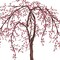 Weeping Cherry Tree Wall Stencil | 2098 by Designer Stencils | Animal & Nature Stencils | Reusable Art Craft Stencils for Painting on Walls, Canvas, Wood | Reusable Plastic Paint Stencil for Home Makeover | Easy to Use & Clean Art Stencil